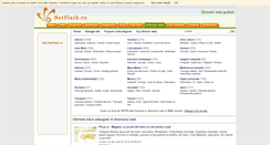 Desktop Screenshot of director.netflash.ro